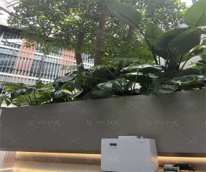 空间香氛系统